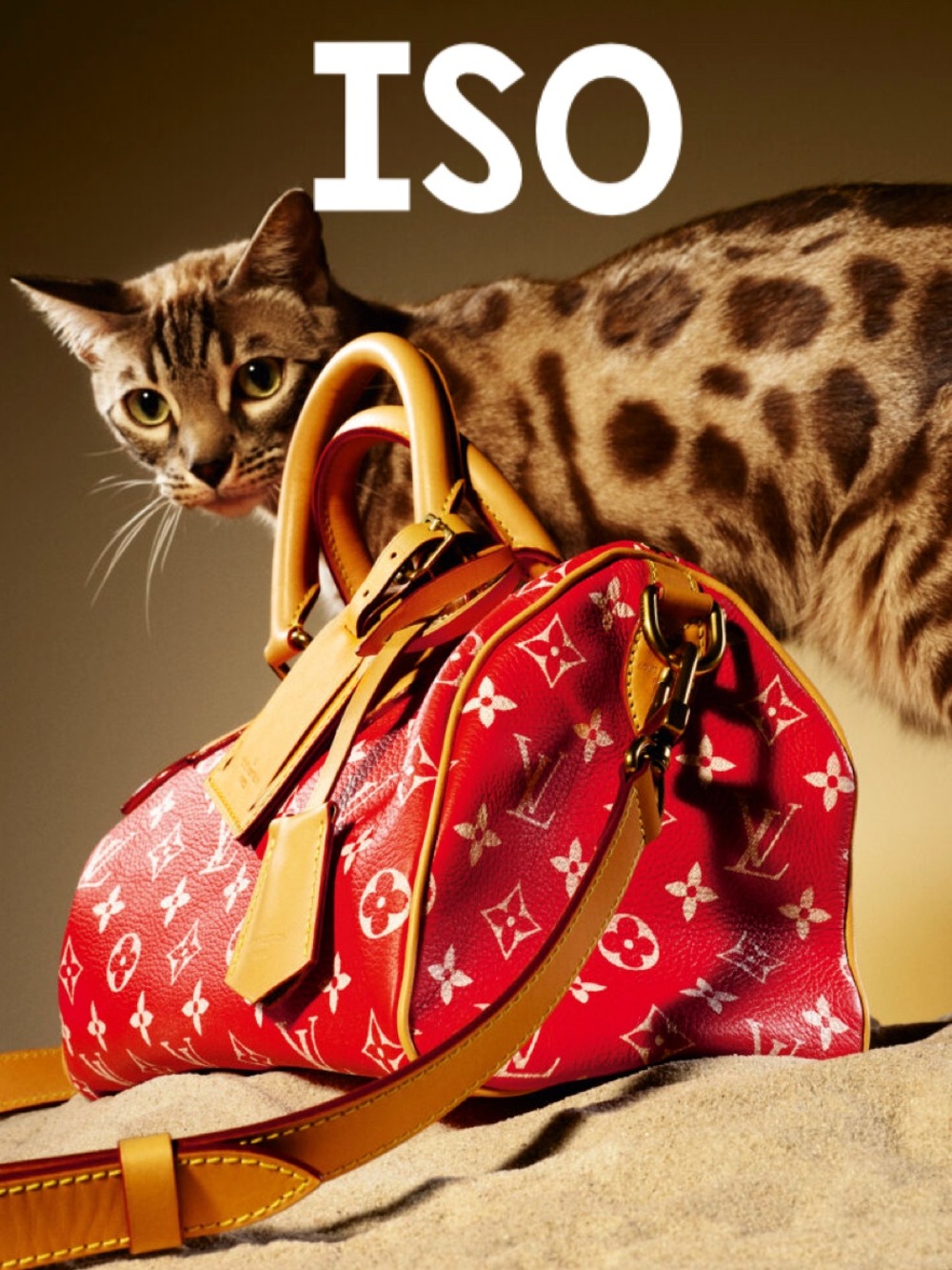ISO LV Bag
